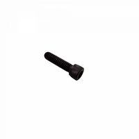 CAP SCREW H SOCKET HD (1/4-20 X 1")