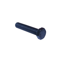 HEX HEAD CAP SCREW 12MMX60MM