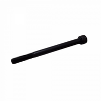 SCREW M10X120MM SKT HD CAP PART THRD