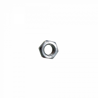 HEX NUT (16 MM)
