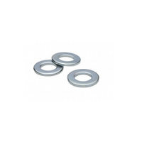 FLAT WASHER (13 MM)