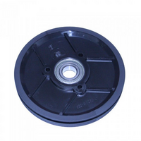 DRIVE PULLEY ASSEMBLY